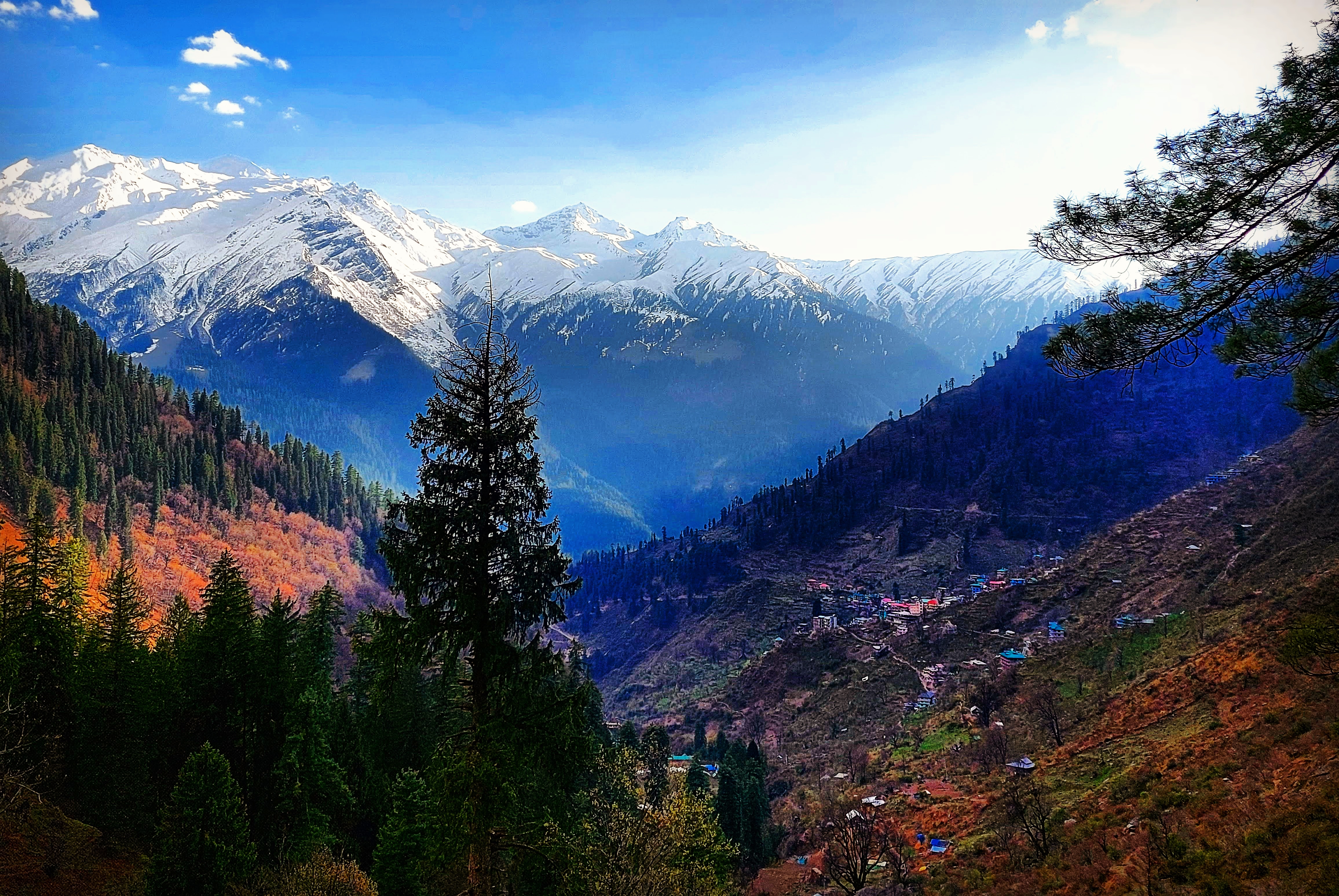 1739529263kasol tosh.jpg